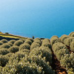 perche comprare una casa in italia e il sogno che diventa realta nel 2025 1749871010