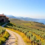 guida allacquisto della seconda casa nelle marche consigli pratici e suggerimenti utili 1768340030