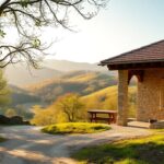 comprare casa a sasso berceto guida alle opportunita in valtaro 1771482760